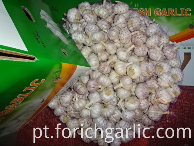 New Regular White Garlic